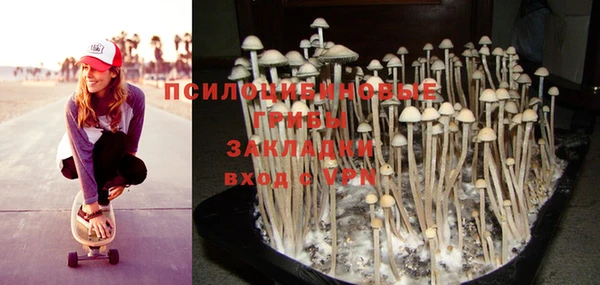 PSILOCYBIN Саяногорск
